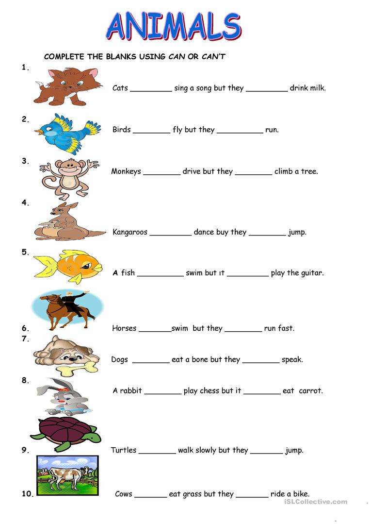 Grammar spot; can /can`t -Animals